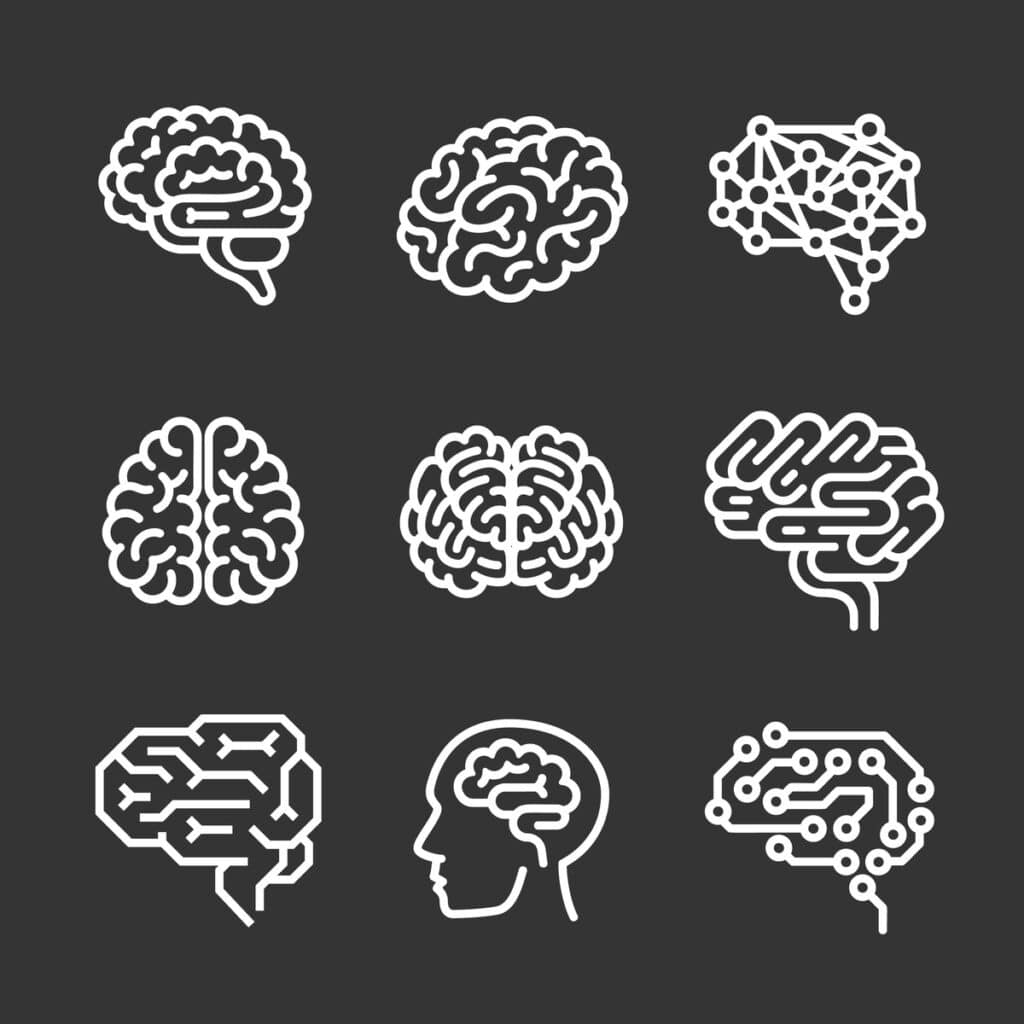 Images of brains, some appearing digital and others physical