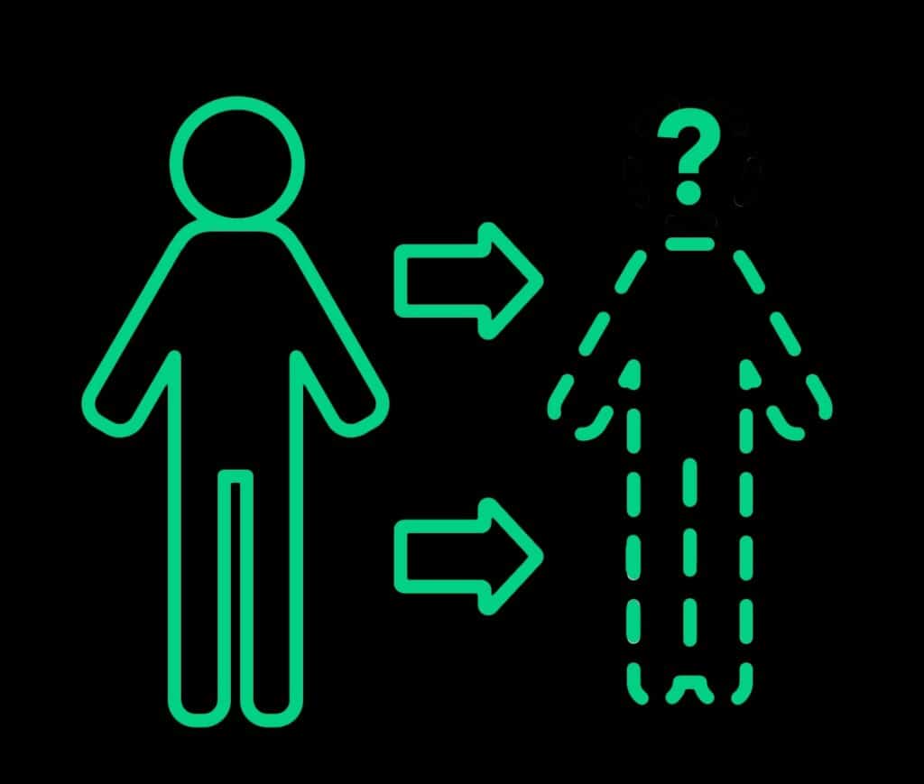An image of an outlined human figure next to a more abstract representation, symbolizing emulation